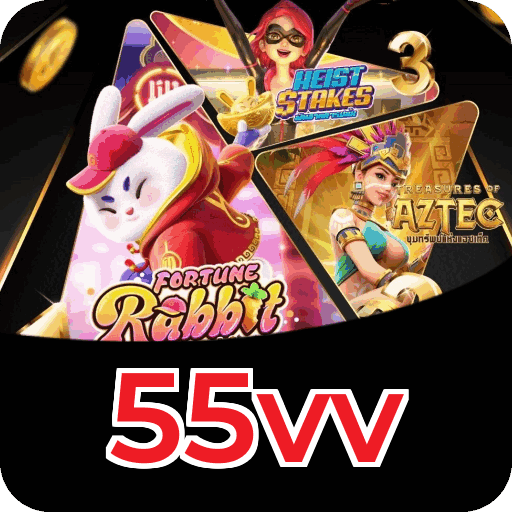 Métodos de pagamento aceitos na 55vv